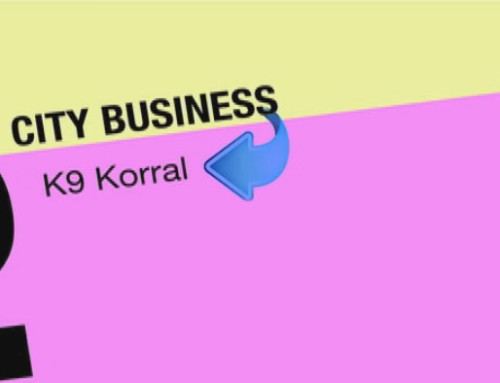 K9 Korral featured on Sarasota’s City Business  Copy
